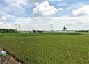善化區-土地，1129.8坪