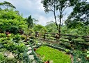 三峽區-白雞5房3廳，40.4坪