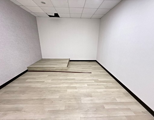 小巨蛋,全新頂加兩房一廳,大空間,可貓,獨洗301_AY - Image 3