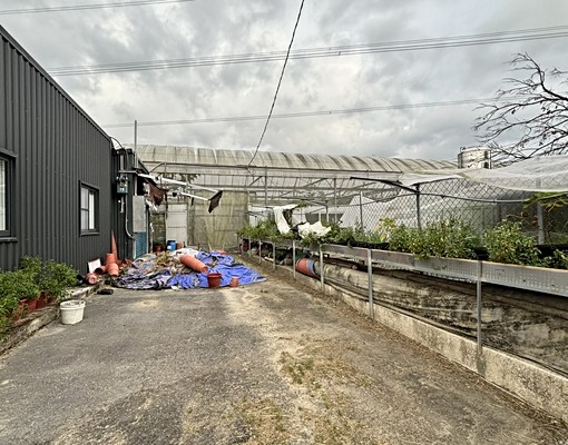 #白河#農場#二間溫室 - Image 7