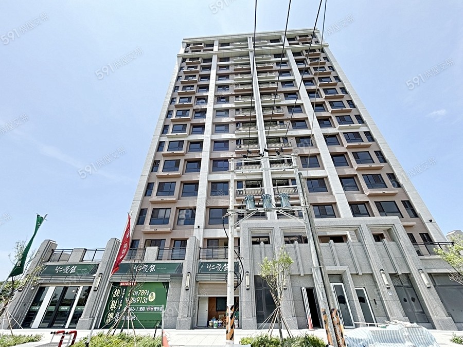 大清仁愛錄封面圖