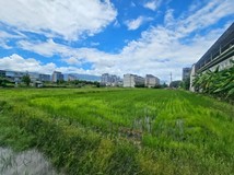 雙福段☺永義凱博☺專任宜市..