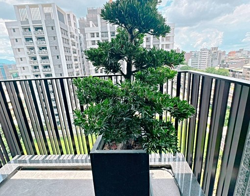 總站機捷好市多💖可租補戶籍報稅💖全新超美精裝三房 - Image 10