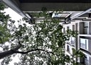 竹北市-嘉勤北路2房2廳，39.9坪