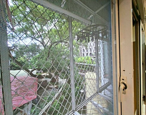 信義安和、包水網路/免爬高採光通風佳獨曬/重新油漆/機能佳 - Image 6