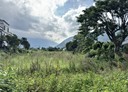 吉安鄉-初音段土地，1521坪