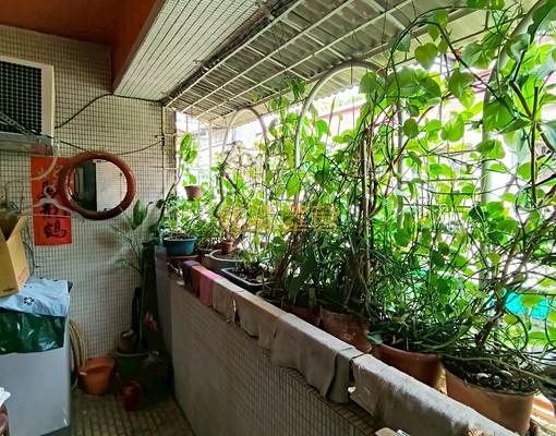 兆基社會住宅🏡近唭哩岸站北投運動中心/3房2衛/可補助 - Image 10