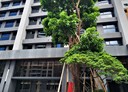 三民區-民族一路2房1廳，30.1坪