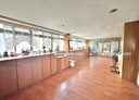 新莊區-中港路1房1廳，15坪