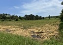新屋區-大牛欄段土地，1677.3坪