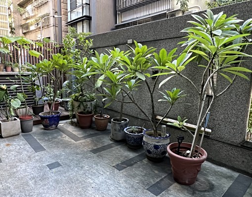 中正國中學區仁愛路杭州路環境優管理佳秒租好套房 - Image 9