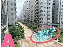 逢大路✔️經貿園區✔️大鵬..