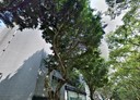 松山區-敦化南路一段辦公，255坪