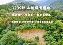 壽豐鄉-土地，1239.5坪