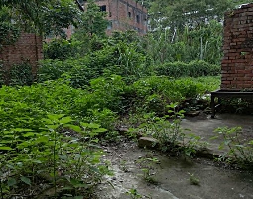 南庄田美全新整修透天店面+住家.閣樓+庭院菜園合計85坪 - Image 10