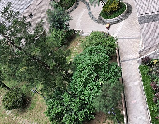 便宜乾淨三房,近東海大學,榮總 - Image 9