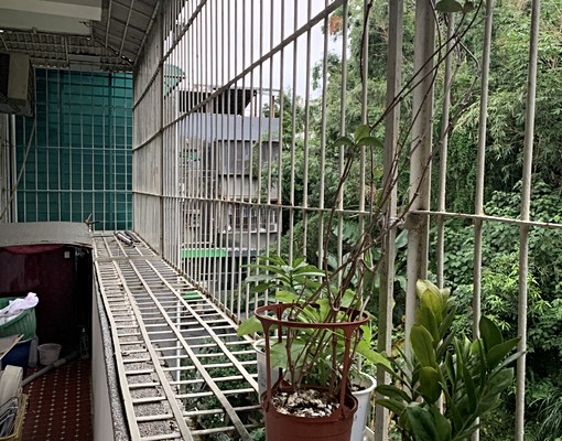 方正光線足視野綠樹靜謐舒適市場學校 - Image 12