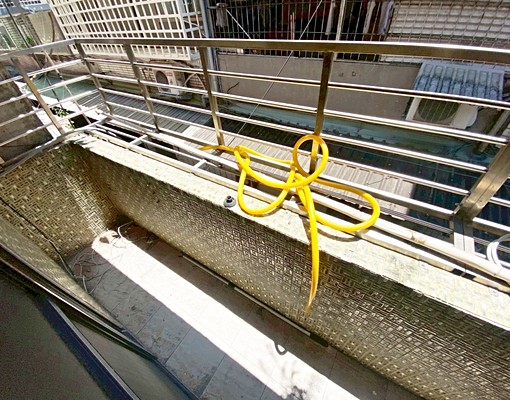 近光復大橋◆採光2房◆可租補雙陽台 - Image 9