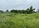 玉井區-口宵里段土地，2176坪