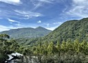 士林區-華岡路1房1廳，18.3坪