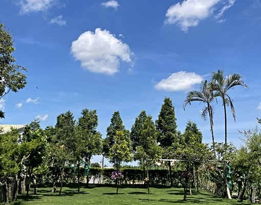秀水優質小套房,近明正國小,福興工業區 - Image 11