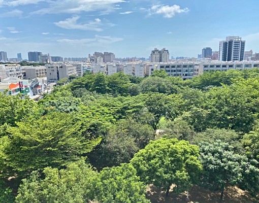 東橋/綠海都心/面公園大三房/全新出租 - Image 1