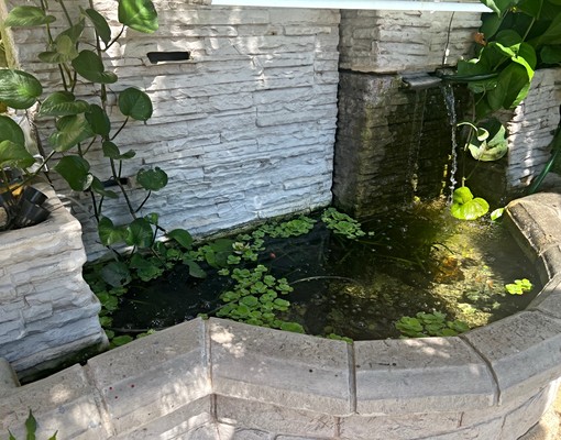 山易居庭院套房 - Image 6