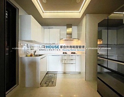 內湖五期豪邸|精品裝潢雙主臥|可寵可入籍 - Image 4