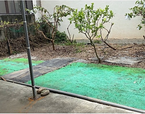近西螺國中西螺農工黃昏市場優質租屋含客廳臥室餐廳 - Image 15