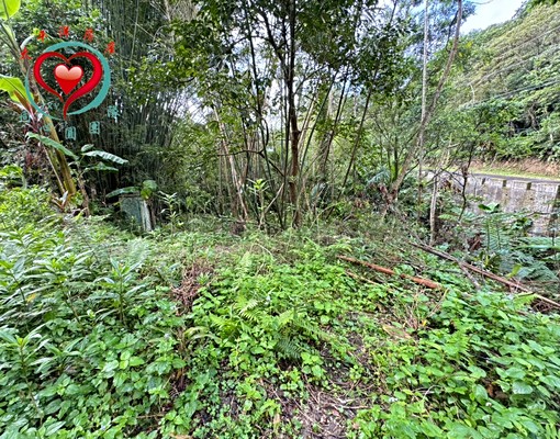 同心圓雪英-三峽成福臨路丙建+農地