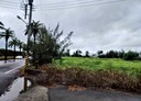 四湖鄉-林厝寮段土地，784.4坪
