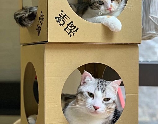 環境優美-3房2廳2衛-尊享空間 - Image 3