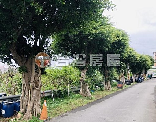 鶯歌區鳳鳴商圈方正百坪乙建+農