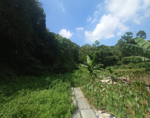 物件圖片