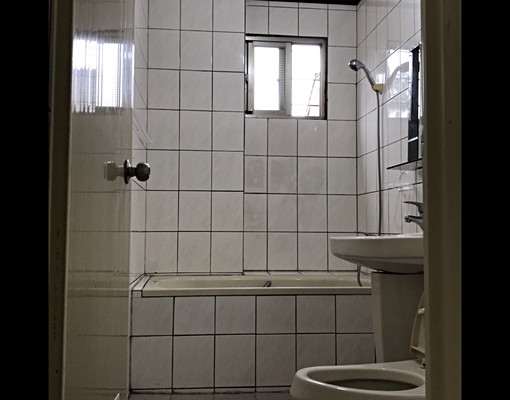 龍潭大坡路透天屋況新附家具 - Image 6