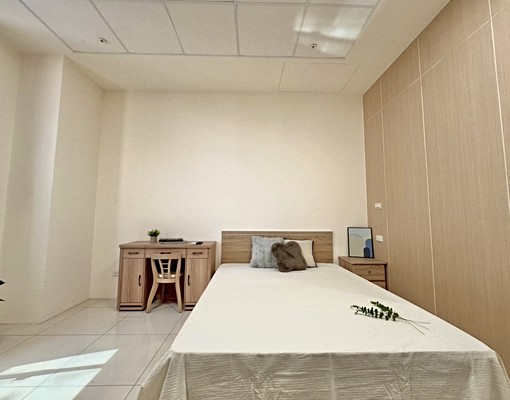 中華路全新套房/可貓/包裹代收/垃圾代收/電梯/格局方正 - Image 3