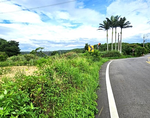 A9林口頂福段臨路平坦土地💖保護區(農地)