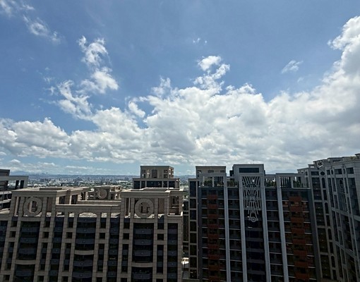 青埔高鐵A18站前商業區景觀裝潢溫馨兩房車全配 - Image 4