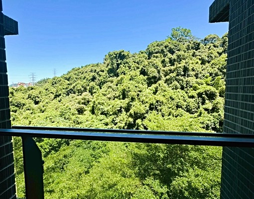 免仲介費｜可租補【星野之森❤️沐月】樹海景觀2房｜有平面車位 - Image 6