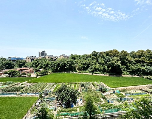 田園風情【竹風樹海】縣三質感大三房平面車位 - Image 15