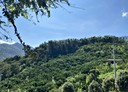 新社區-土地，2420坪
