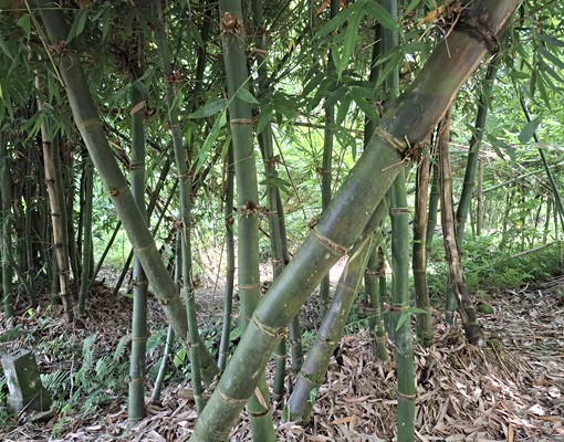 物件圖片