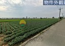 水林鄉-土地，1138.3坪