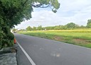 蘆竹區-土地，550坪