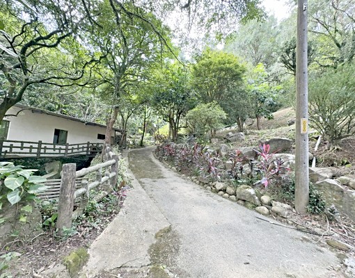 新北金山土地
