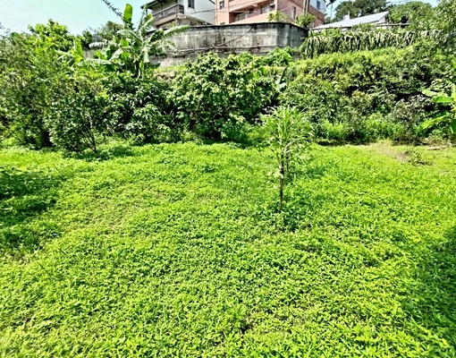 物件圖片