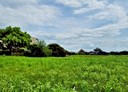 佳里區-土地，283.7坪