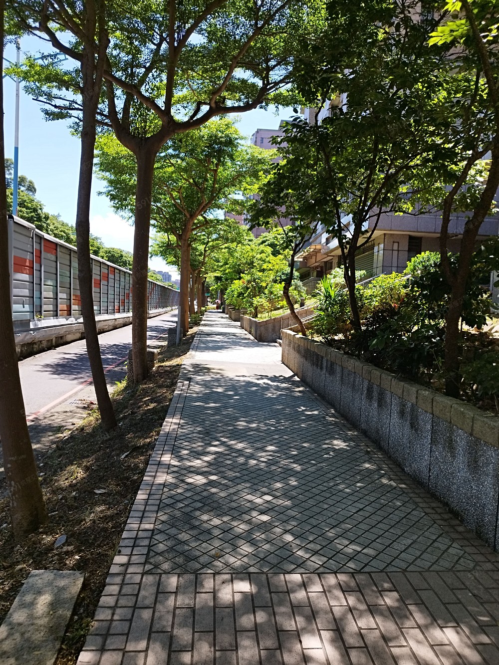 照片