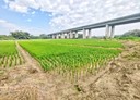 官田區-土地，454.4坪