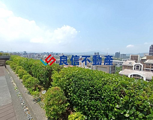 ⭐士林中正樞紐*輕豪宅樓中樓附車位⭐ - Image 14